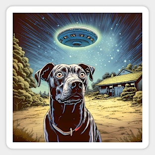 UFOs 2: My Dog Thinks UFOs Are Real on a Dark Background Magnet